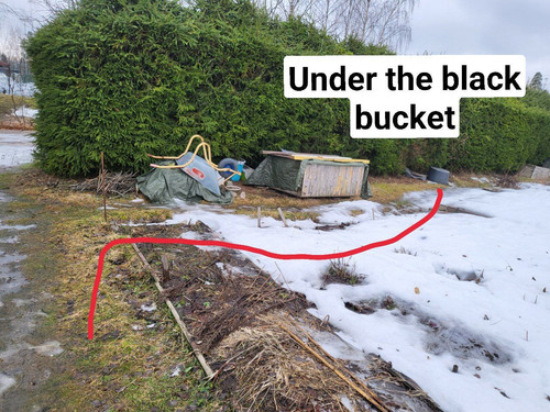 photo 2023 02 12 03 51 36.jpg