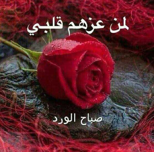 1676192414453.jpg