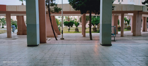 IMG20230212075220.jpg
