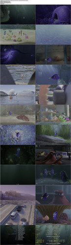 Finding.Dory.2016.UHD.BluRay.2160p.3Audio.TrueHD.Atmos.7.1.x265.10bit.HDR BeiTai.mkv.jpg