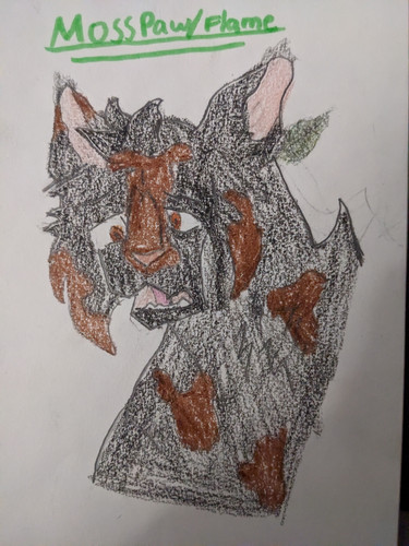 PXL 20230213 233741076.MP.jpg