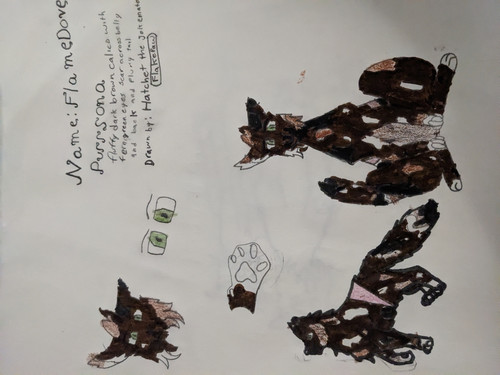 PXL 20230213 235203398.MP.jpg