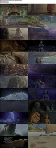 Moana.2016.UHD.BluRay.2160p.MultiAudio.TrueHD.Atmos.7.1.x265.10bit.HDR BeiTai.mkv.jpg