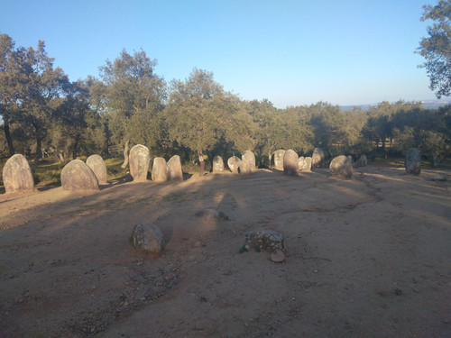 IMG 20230209 164402.jpg