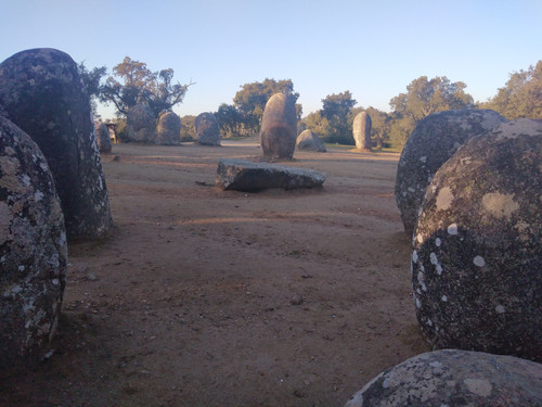 IMG 20230209 164425.jpg