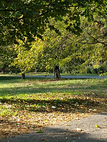 IMG 20221019 145551826.jpg