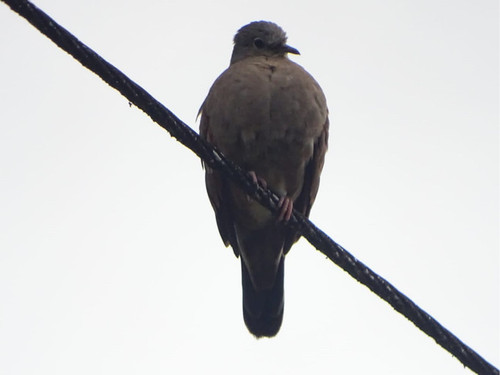 b048e956af14.jpg