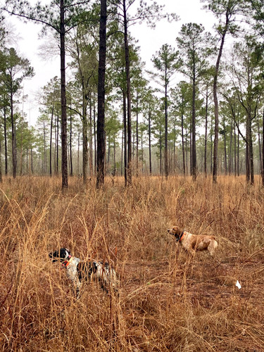 B77924F3 857C 4359 A386 78237BF08400.jpg