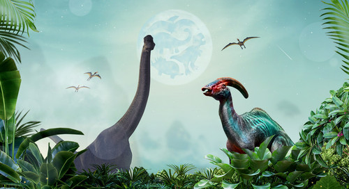 Web Header test2.jpg