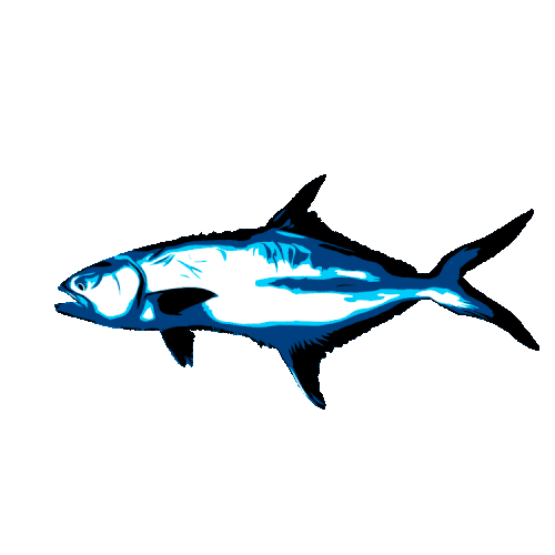 fish3.gif
