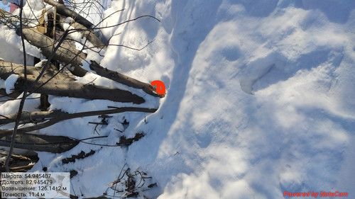 IMG 20230213 135055.jpg