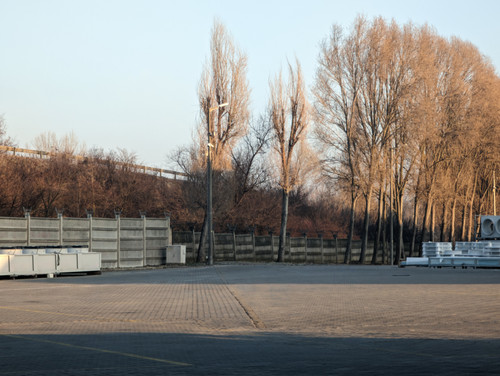 PXL 20230213 065038022.jpg