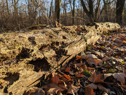 PXL 20230212 141602775.jpg