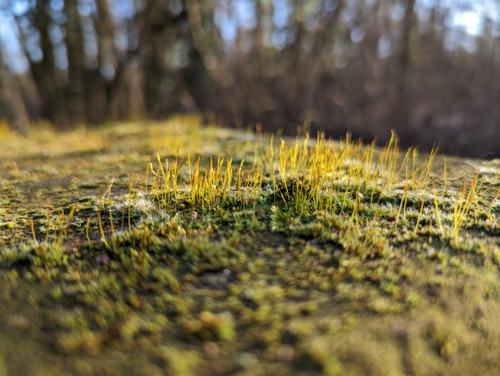 PXL 20230212 142506062.jpg