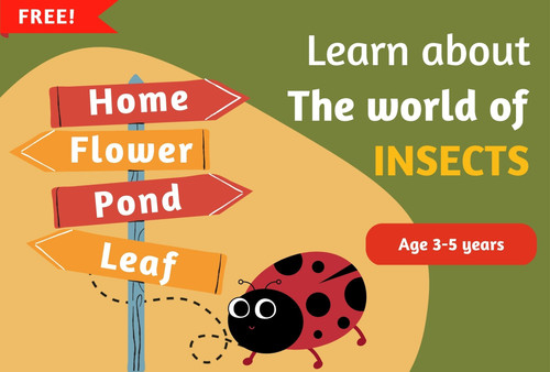 ocky pocky (7).jpg