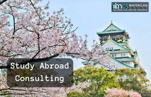 Study Abroad Consulting.jpg