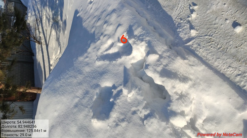 IMG 20230213 151110.jpg