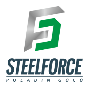 steelforce logo3.png