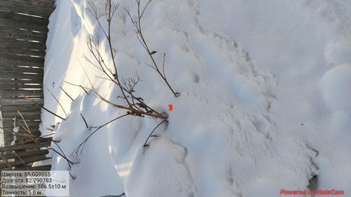 IMG 20230213 161411.jpg