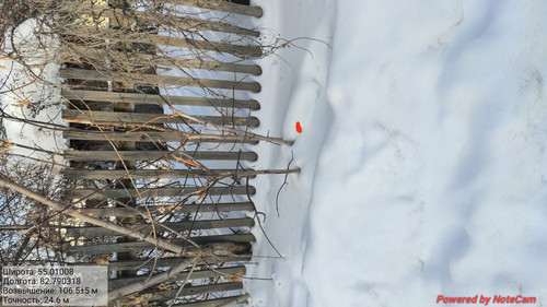IMG 20230213 161353.jpg
