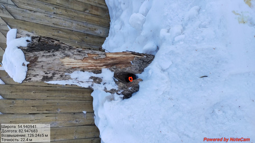 IMG 20230213 154822.jpg