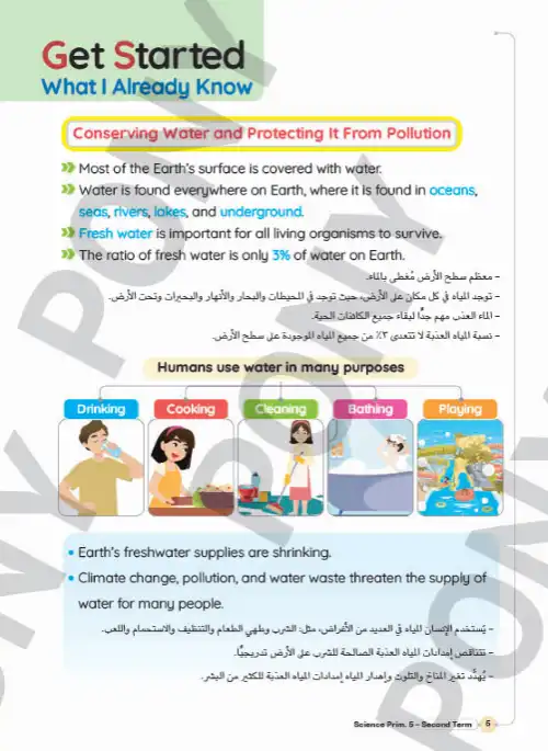 1.webp