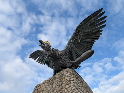 PXL 20230211 141148715.NIGHT.jpg