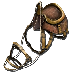 Phiomia Saddle.webp