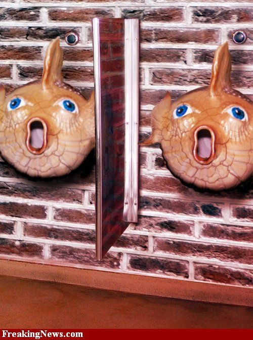 ECC12EB6 C738 40AA A0F5 A89373D916E8.jpg