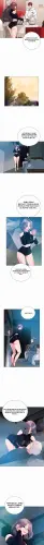 17.webp
