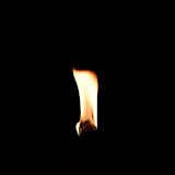 fire.gif