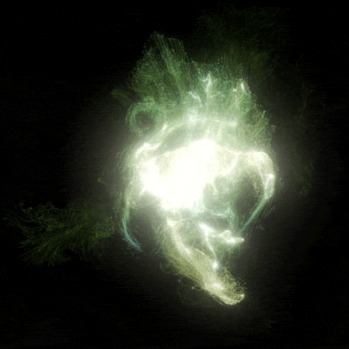 lig.gif