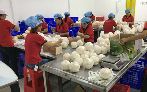 PHALEFOODFACTORY.jpg