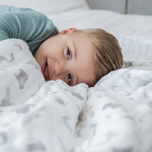 ADBO10006 3 baby organic cotton muslin dream blanket map the stars.jpg