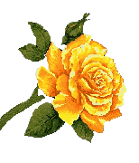 animated flower image 0007 unscreen.gif