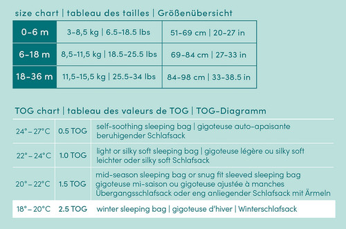 AA BTQ Sl Bag Sizes.jpg
