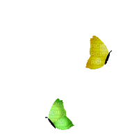 3267597790 1 5 ZXRL4CQG.gif