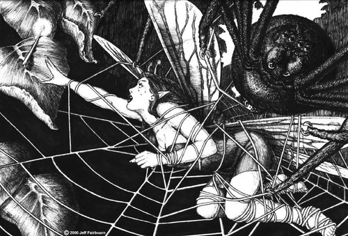 spider webs.jpg