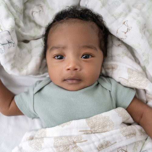 EMBC10020 4 baby cotton muslin blanket harmony.jpg