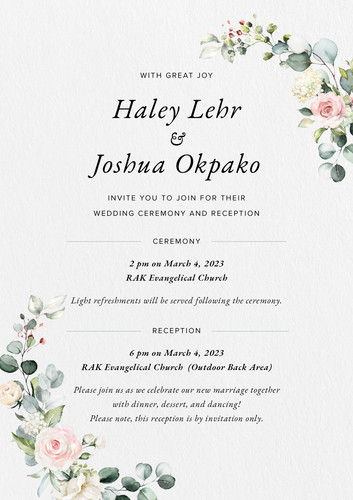 Haley and Josh Wedding (Ceremony).jpg