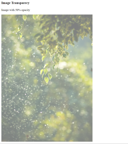 Untitled.png