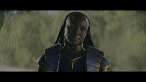 Black.Panther.Wakanda.Forever.2022.UHD.BluRay.REMUX.2160p.HEVC.TrueHD7.1.Atmos HDS.mkv 20230210 1703.png