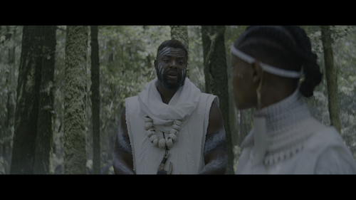 Black.Panther.Wakanda.Forever.2022.UHD.BluRay.REMUX.2160p.HEVC.TrueHD7.1.Atmos HDS.mkv 20230210 1703.png