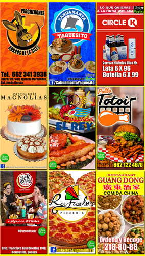 9 negocios 800x1406.jpg