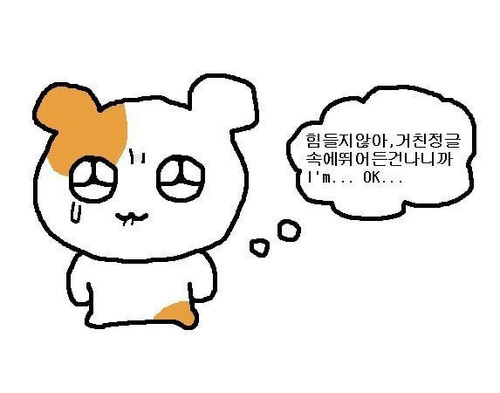 27636743 2D24 4CFE BA98 125FB9E7072A.jpg