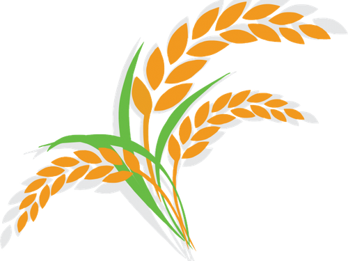 PngItem 547326.png