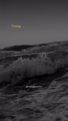 ezgif.com optimize.gif