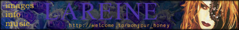 bonjour honey banner color.jpg