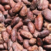 cocoa beans.jpg