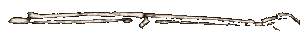 dolidk2r 1.gif